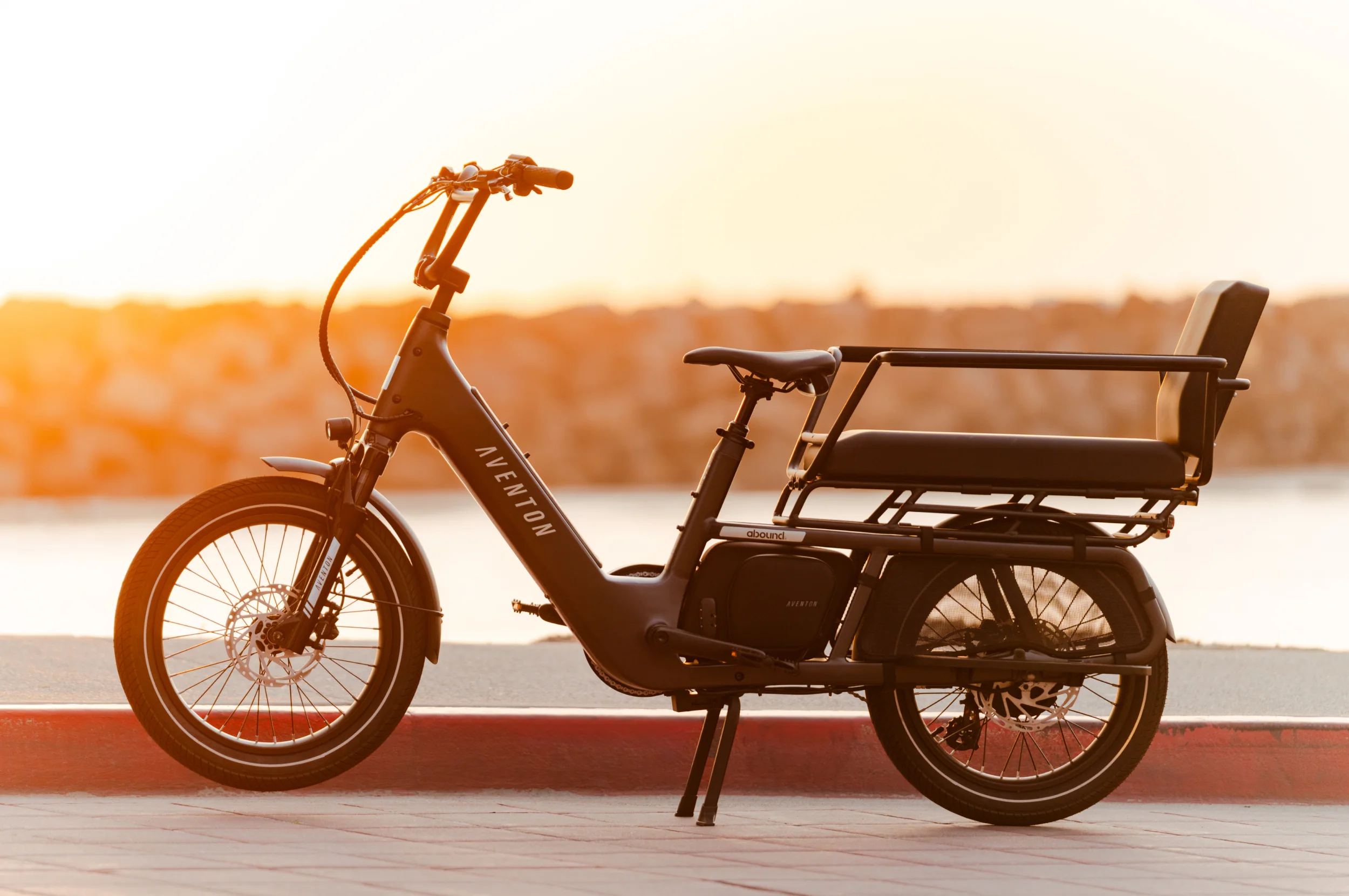 Abound LR Ebike - Image 24