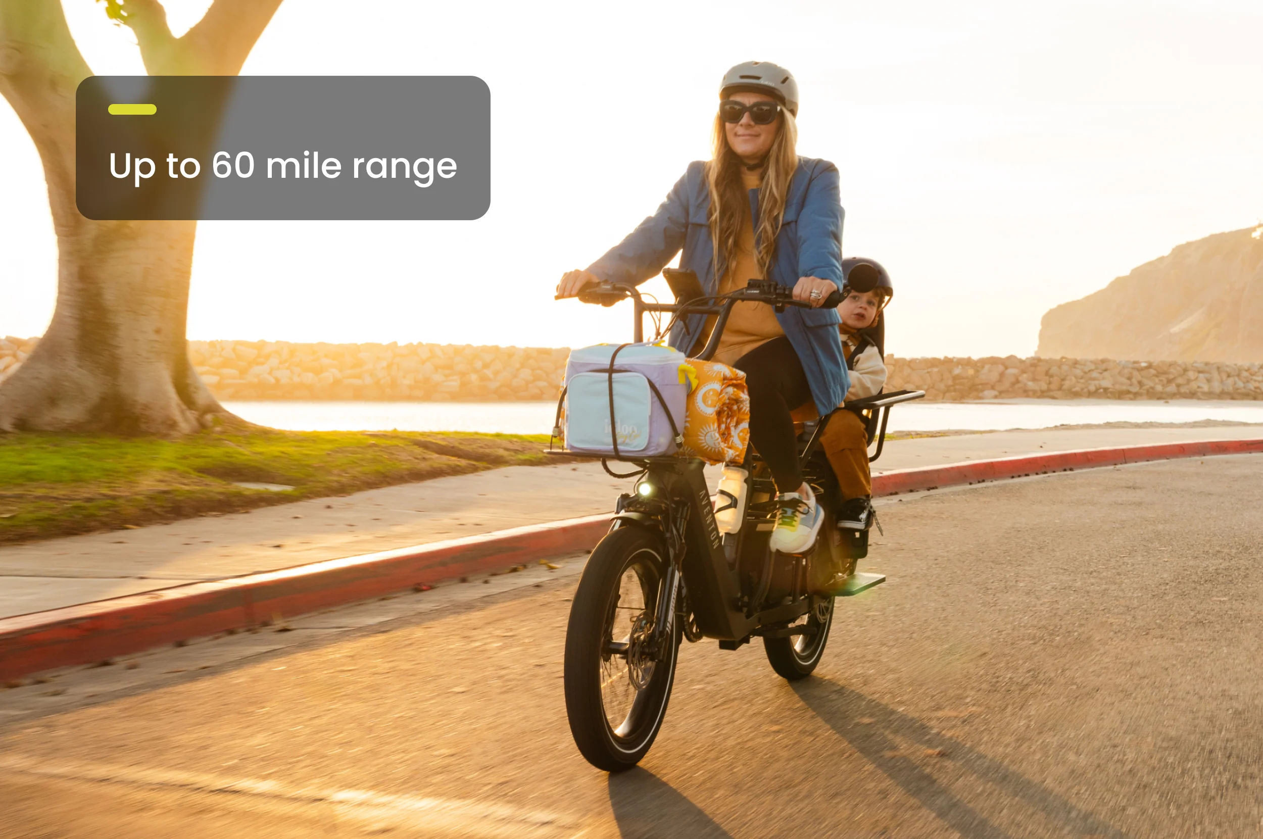 Abound LR Ebike - Image 14
