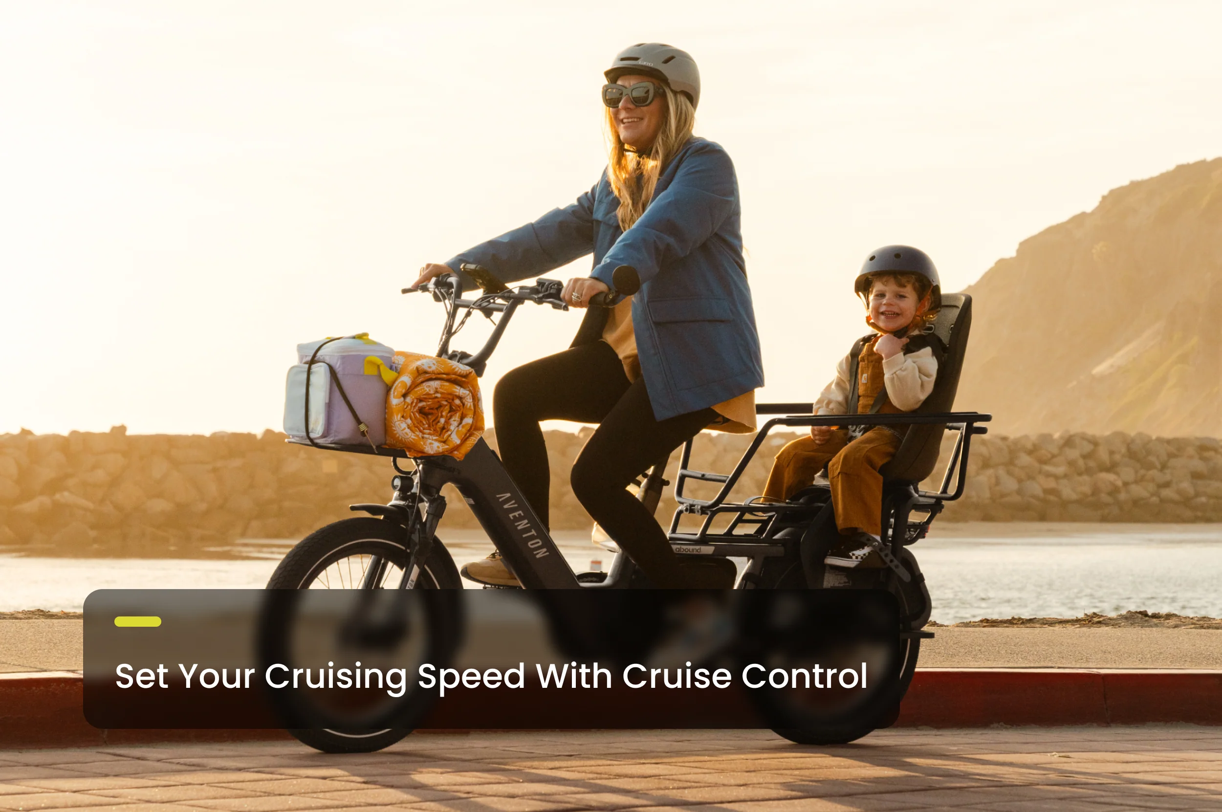 Abound LR Ebike - Image 11