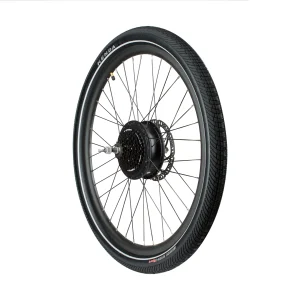 Aventon Complete Rear Wheel